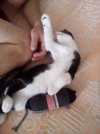 Забрали с улицы. Не жалею ни секунды.