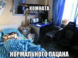 А нормальный пацан спит в бюстгальтере?