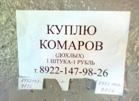 Те самые предупреждения, которые поднимут настроение до конца недели