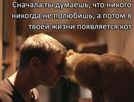Эти люди говорили, что не любят кошек, - и чем все закончилось?
