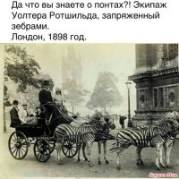 Типология понтов: скажи мне, чем ты хвастаешься