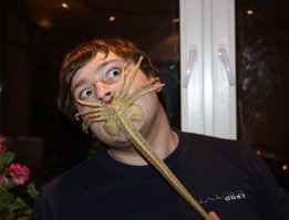 Атака водяного жука