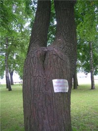 Город - Кронштадт. Города России. Пост номер 61. Фоторепортаж