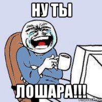 Подготовился: он зарыл запас водки на месте проведения музыкального фестиваля