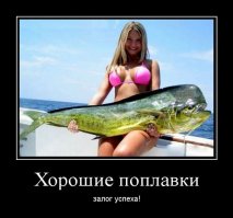 походу вечером двух рыбок будут жарить