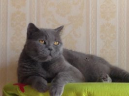 Мы очень одобряем данный пост.