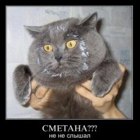 Настоящий умелец на все… зубы)
