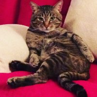 Совсем не страшно