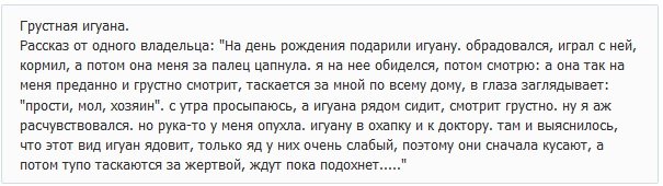 Или мы чего-то не знаем о котятах