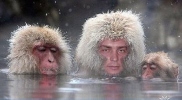 Сумасшедшие работы богов Фотошопа