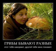 Как сеять грибы, чтобы они росли на вашей даче