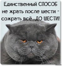 Подборка прикольных картинок