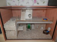 Новая квартирка для хомяка


Новая квартира для хомячка.