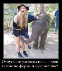 Преступники животного мира