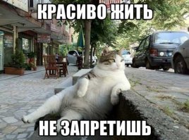 Новая квартирка для хомяка