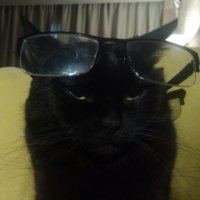 Моя морда! Наглая и вредная. Но люблю ппц как)