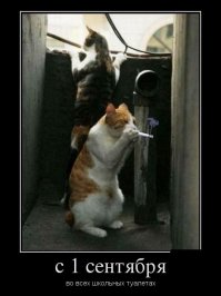 30 небывало опечаленных родителей, спровадивших наконец-то детишек в школу