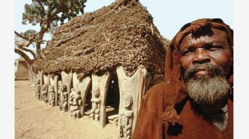 На юге Мали на труднодоступном плато Бандиагара в непроходимых джунглях французская экспедиция под руководством этнографов Марселя Гриоля и Жермены Дитерлен в 1931 году неожиданно открыла народ догоны. Они так заинтересовали ученых, что Гриоль и его коллеги изучали этих удивительных африканцев аж до 1952 года. А удивляться было чему : живя в полной изоляции от внешнего мира, догоны из поколения в поколение в течение тысячелетий передавали древние астрономические знания, о которых в то время даже современная наука только догадывалась.

Например, о теории  большого взрыва , давшего начало развитию и расширению Вселенной, астрономы спорят и по сей день. А жрецы в 1930-х годах рассказывали ученым:  В начале времен всемогущий Амма, верховное божество, находился в огромном вращающемся яйце, в центре которого зародилось крошечное зернышко. Когда оно выросло и лопнуло, появилась Вселенная. .............

Согласно рисункам, таинственное племя догонов прилетело на голубую планету с Сириуса. Но, попав на Землю, далёкие предки нынешних туземцев оказались абсолютно неприспособленными к местным условиям. Тогда с голубовато-бледной звезды прилетели таинственные существа, которых догоны называли номмо   пьющие воду.

Они обладали высоким ростом, и всё время ходили в прозрачных скафандрах, наполненных водой. Возле туземного племени эти существа неотлучно находились долгих 100 лет. Загадочные сущности научили догонов земледелию, охоте, объяснили, как делать лекарственные препараты из растений, как строить себе жилища. Убедившись, что их ученики уже достаточно уверенно чувствуют себя на Земле, пришельцы улетели, но пообещали вернуться.

Все эти предания, легенды, наскальные рисунки напоминали красивую сказку. Вот только информация в этой сказке во многом соответствовала истине, которую невежественный народ, обитающий в глухих районах Африки, просто не мог знать.