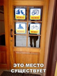 Картинки, которые поднимают настроение