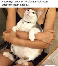 Картинки, которые поднимают настроение