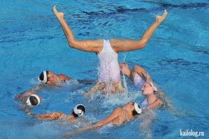 Очень даже удачное фото!