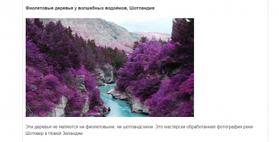 Конечно, в мире много удивительного. Но, конкретно эта фота взята с сайта "Самые популярные фото- утки , гуляющие по просторам интернета"