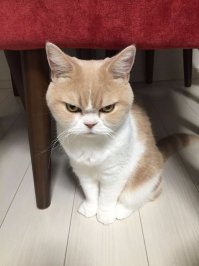 Еще один злюка)