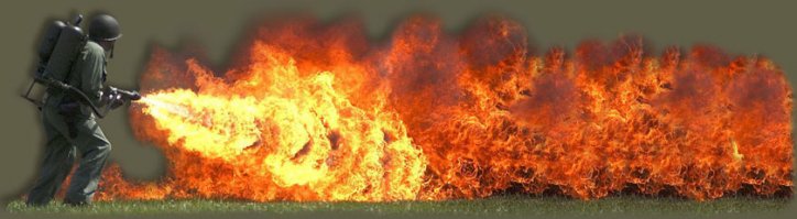 14 фактов о самом большом пауке в мире