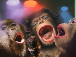 Сегодня шабаш у ребят