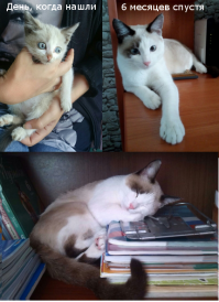 Наш Марсюша)