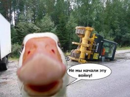 Смешные картинки с надписями