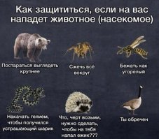 Солдаты армии Парагвая маршируют на параде со своими животными