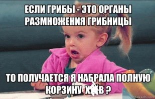 Как сеять грибы, чтобы они росли на вашей даче