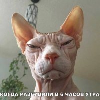 я утром сегодня такой проснулся после пьянки с шашлыками))))