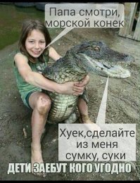 Картинки с надписями