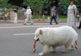 27 неожиданных ракурсов, которые вас удивят