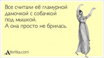 Агрессивную даму с собачкой, напавшую на ребенка, ждет суд
