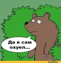 Неожиданная встреча с медведем на лесной тропе