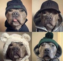 У меня буль обходился скромной надписью зелёнкой во весь бок фак оф))