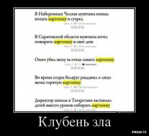 Картофелефест: август-сентбярь 2017!