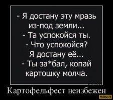 Картофелефест: август-сентбярь 2017!