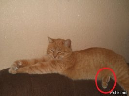 фото из разряда показалось))) простите))))