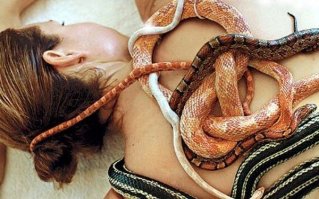 Змеек позабыли.