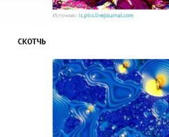 Ученые показали как выглядит алкоголь под микроскопом