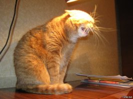 Возврат кредита