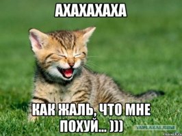 «Матильда» - предпремьерный показ прошел