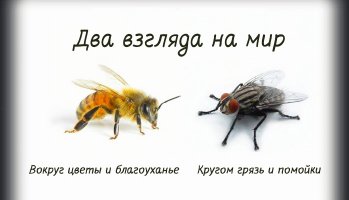 Спасибо !
Просто такая картинка могла бы его обидеть :