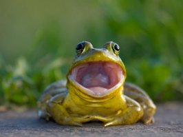 Смешные картинки