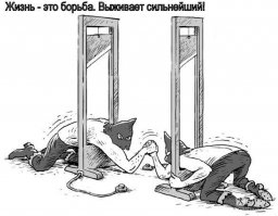 Очередная порция картинок с подписями