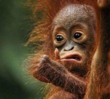 Попурри из "баянов интернета" для отдыха